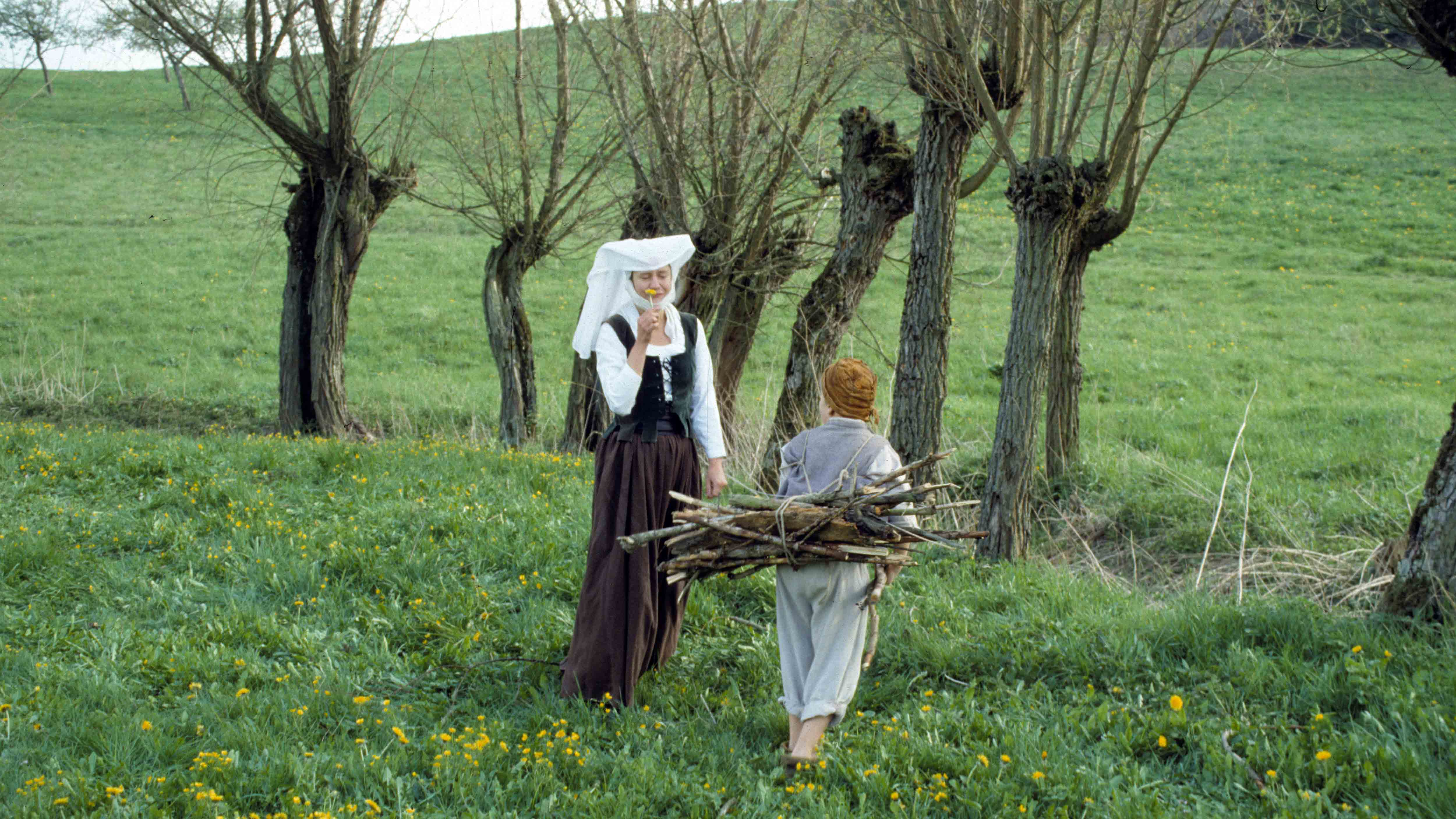 Zuenfte Feuerholz 2000